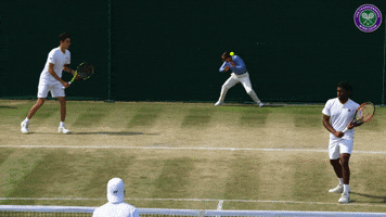 tennis fail GIF by Wimbledon