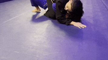 Ufc Grappling GIF by Neale Hoerle