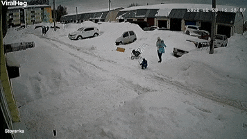 Massive Amount Of Snow Slides Off Roof Near Family GIF by ViralHog