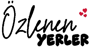 Mnks Kelimeler 4 Sticker