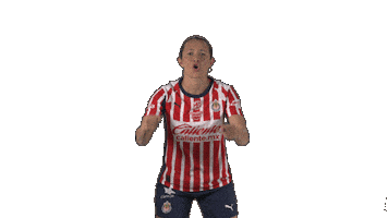 Liga Mx Futbol Sticker by Chivas Oficial