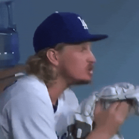 Baseball Wow GIF