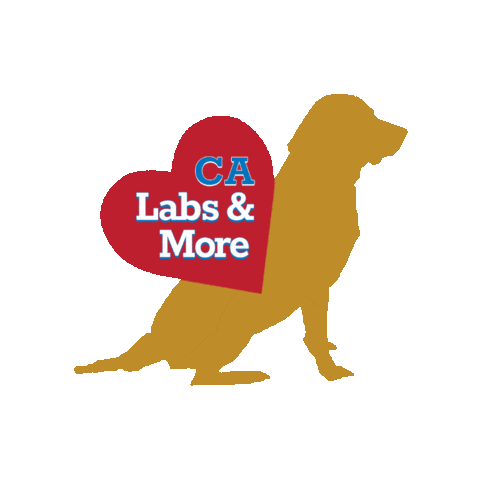 LabsAndMore Sticker