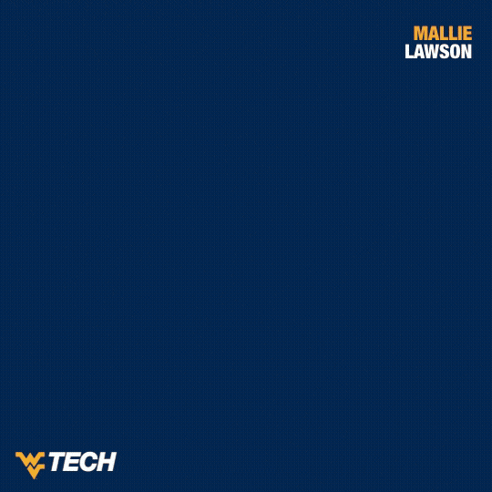 Softball GIF by WVU Tech Golden Bears