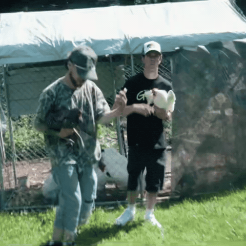 Dance Chicken GIF by BiGMoley