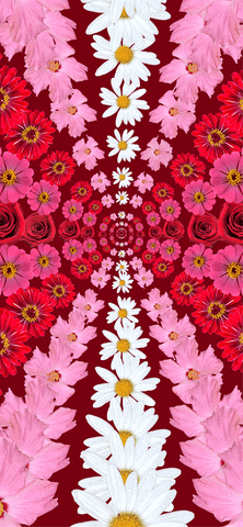 giphy.gif?cid=ecf05e47nfvybg482cgjwq4233