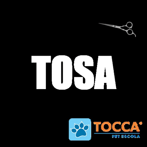 Tocca Pet Escola GIF