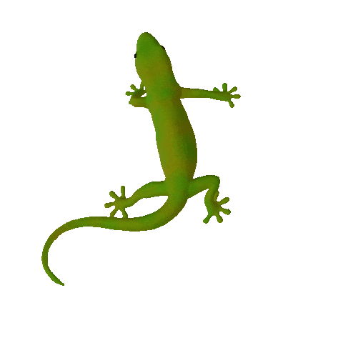 Source: Zacxophone Source: Zacxophone