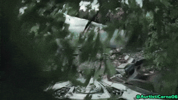 Godzilla GIF