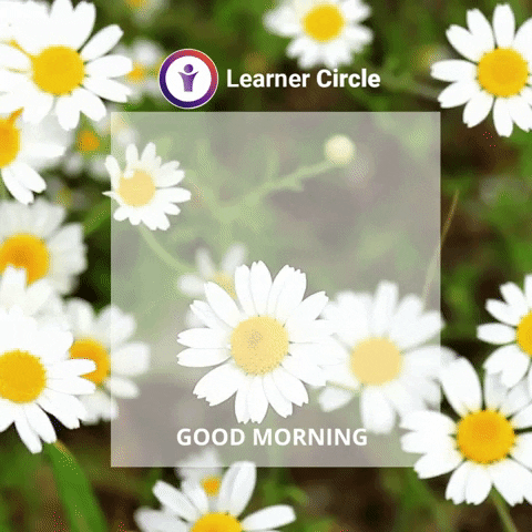Happy Good Morning GIF by Learner Circle