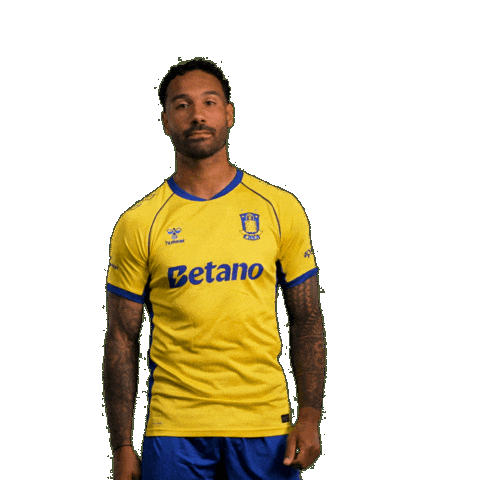 Goalcelebration Sejr Sticker by Brøndby IF