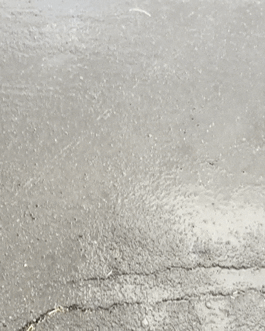 Car America GIF