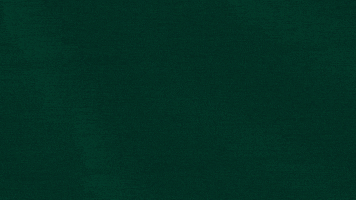 Bursaspor GIF