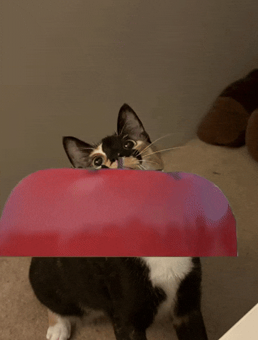 Tomato Biscuit GIF