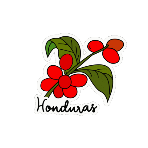 Cafe Sticker by Visit Honduras