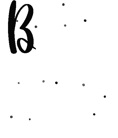 Photography Picture Sticker