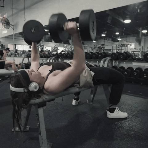 Weight Room Sport GIF by GYMREAPERS