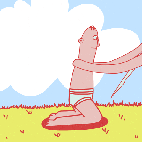 GIF by grantkoltoons