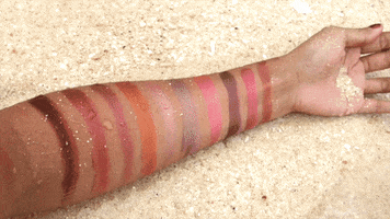 Valentine Palette GIF