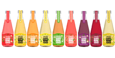 Kombuchadrink Sticker by vedakombucha