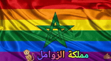 Morocco Algeria GIF