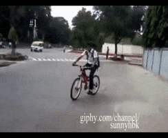 sunnyhbk  GIF