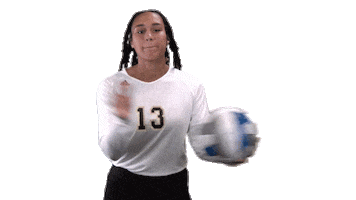 College Volleyball Sticker by UNCP Braves Athletics