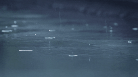 Rain Transparent GIF - Rain Transparent - Discover & Share GIFs