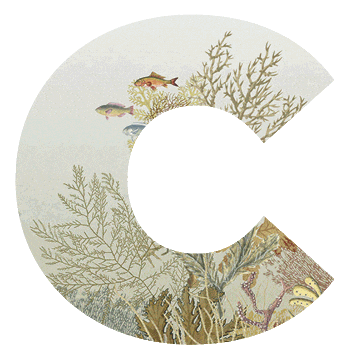 Sticker by casadeco