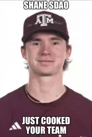 Texas Am Baseball GIF