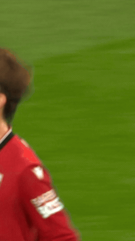 West Brom Goal GIF by West Bromwich Albion