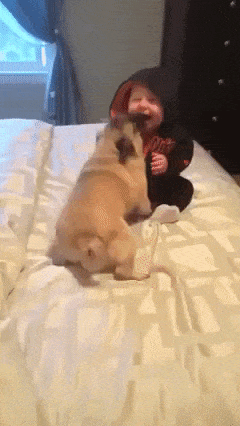 Kid And Puppy GIFs - Get the best GIF on GIPHY