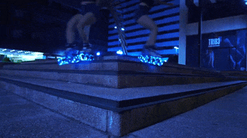 Roller Rollerblading GIF