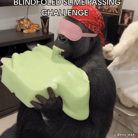 Black Dog Oops GIF