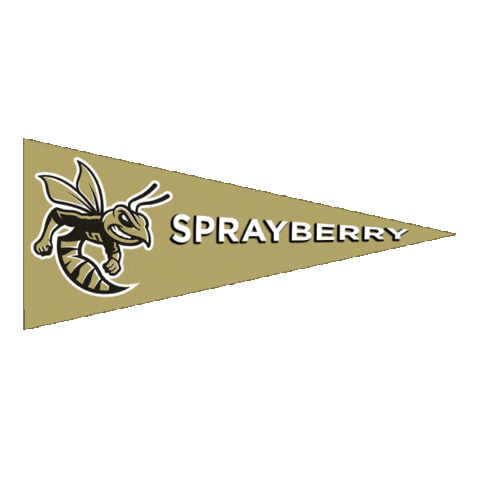 High School Football Sticker by GPB Sports