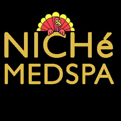 NichéMedSpa GIF