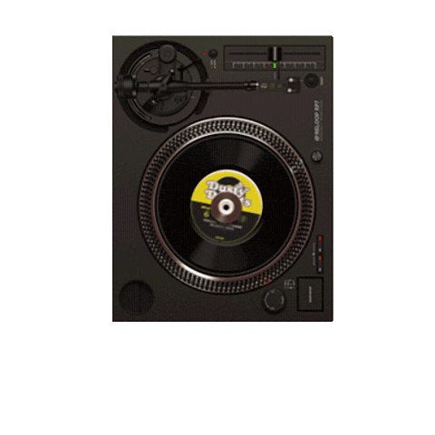 Vinyl Records Sticker by ReloopDJ