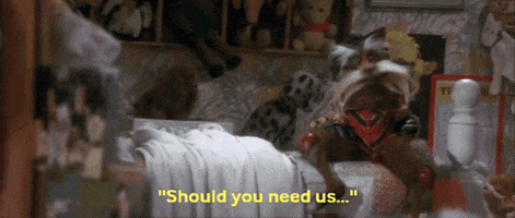 Need GIF