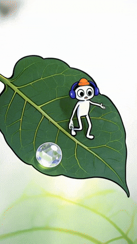  Leaf Sanctuary Nap Ah-Z