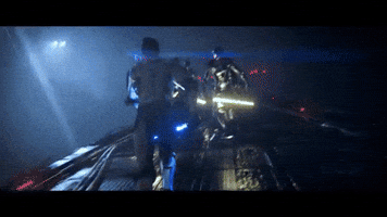 fowl  GIF