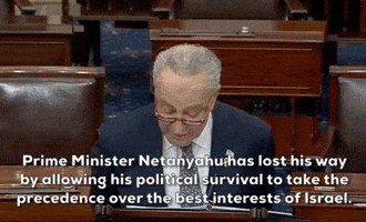 Chuck Schumer Israel GIF by GIPHY News