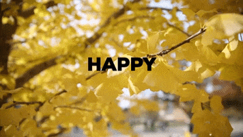 Thanksgiving Ksb GIF by Kelley School of Business at IUPUI