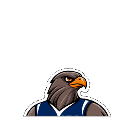 UPCPachuca Sticker