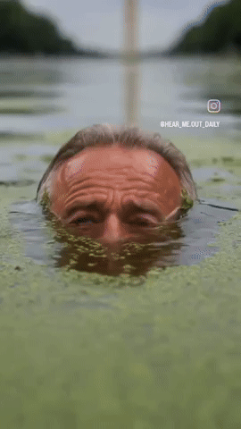 Pool GIF