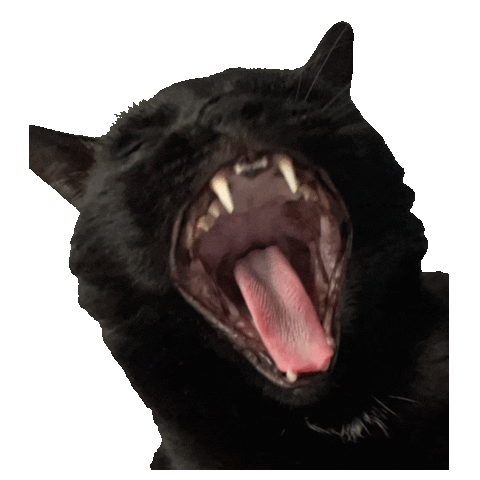 Jazzyj Sticker by thelifeybrand