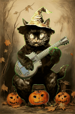 Black Cat Art GIF by Xinanimodelacra