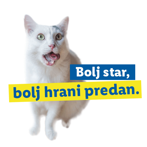 Cat Food Sticker by Lidl Slovenija