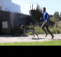 Run GIF