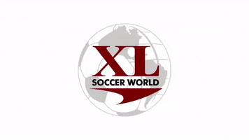 XL soccer world GIF