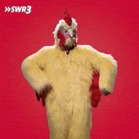 Chickens GIFs - Get the best GIF on GIPHY